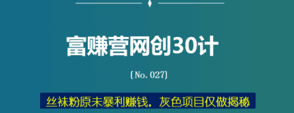 sw粉原w暴利赚钱，灰色项目仅做揭秘【富赚营网创30计027】-猎天资源库