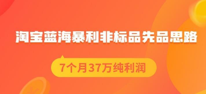 盗坤淘宝蓝海暴利非标品先品思路，7个月37万纯利润，压箱干货分享！【付费文章】-猎天资源库