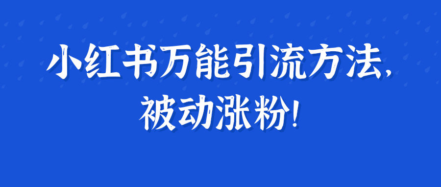 小红书万能引流方法，被动涨粉！【视频教程】-猎天资源库