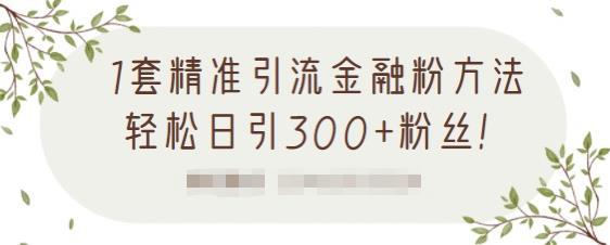 1套精准引流金融粉方法，轻松日引300+粉丝【视频课程】-猎天资源库