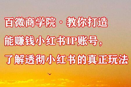 百微商学院·教你打造能赚钱小红书IP账号，了解透彻小红书的真正玩法-猎天资源库