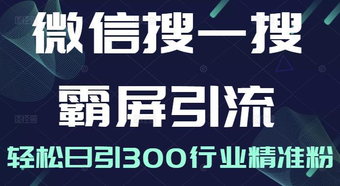 微信搜一搜霸屏引流课，打造被动精准引流系统，轻松日引300行业精准粉【无水印】-猎天资源库