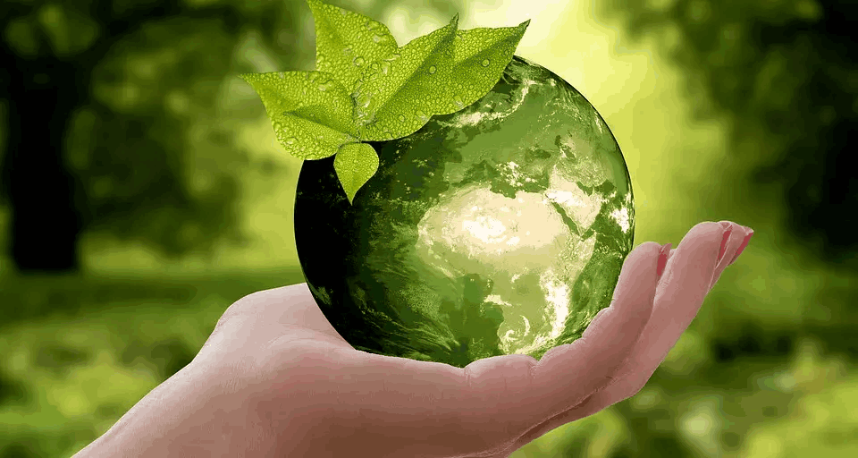 你知道什么是可再生资源吗？可再生资源和不可再生资源有哪些