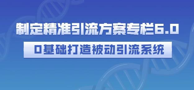 制定精准引流方案专栏6.0，0基础打造被动引流系统-猎天资源库