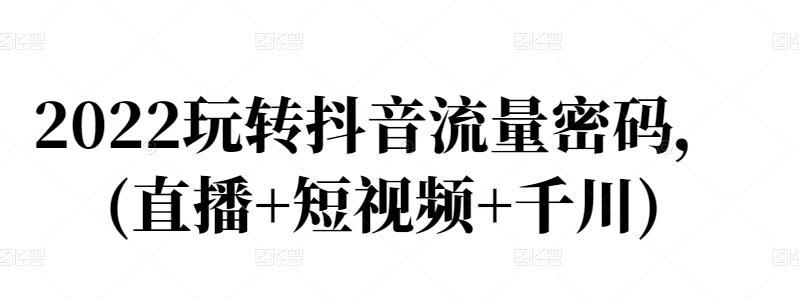 2022玩转抖音流量密码，(直播+短视频+千川)-猎天资源库