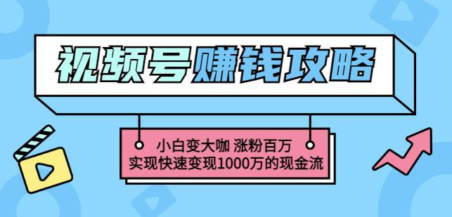 玩转微信视频号赚钱：小白变大咖涨粉百万实现快速变现1000万的现金流-猎天资源库