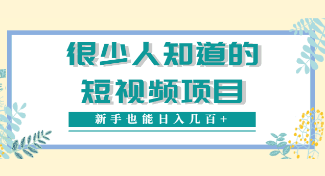 很少人知道的视频赚钱项目，新手能操作也能轻松日入几百+【视频教程】-猎天资源库