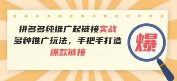 拼多多纯推广起链接实战：多种推广玩法，手把手打造爆款链接-猎天资源库