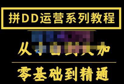 2022全套拼多多核心实操课程，从0-1轻松起链接实战，低投入高产出运作店铺-猎天资源库