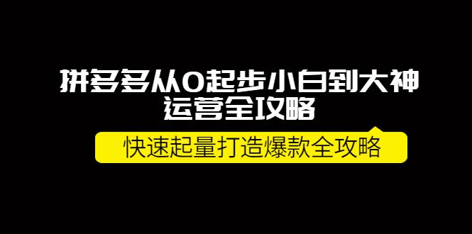 拼多多从0起步小白到大神运营全攻略，快速起量打造10W+爆款全攻略！-猎天资源库