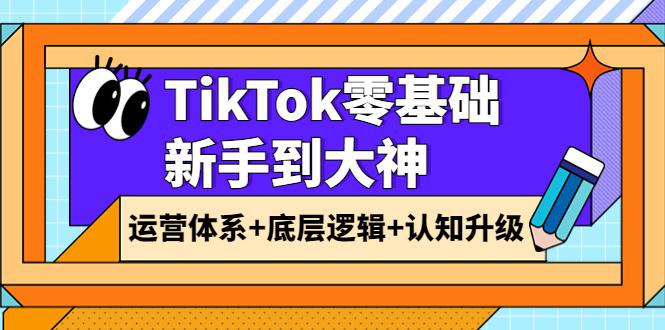 TikTok零基础新手到大神：运营体系+底层逻辑+认知升级（9节系列课）-猎天资源库