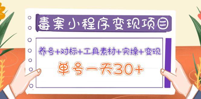 图文案小程序变现项目：养号 对标 工具素材 实操 变现，单号一天30-猎天资源库