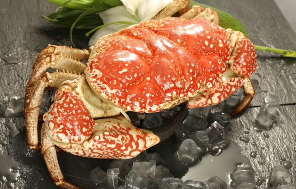 世界上最大的螃蟹，重量可达30公斤，堪称螃蟹之中的王者-猎天资源库