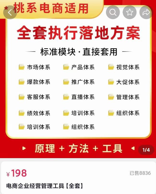 外面卖198·电商企业经营管理工具：全套执行落地方案标准模块·直接套用-猎天资源库