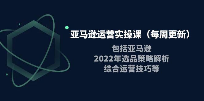 亚马逊运营实操课（每周更新）包括亚马逊2022选品策略解析，综合运营技巧等-猎天资源库