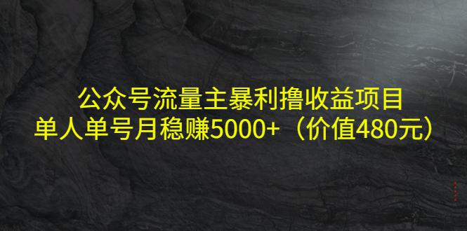 公众号流量主暴利撸收益项目，单人单号月稳赚5000+（价值480元）-猎天资源库