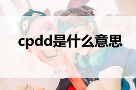 cpdd是什么意思网络用语？是找伴侣的意思吗？-猎天资源库