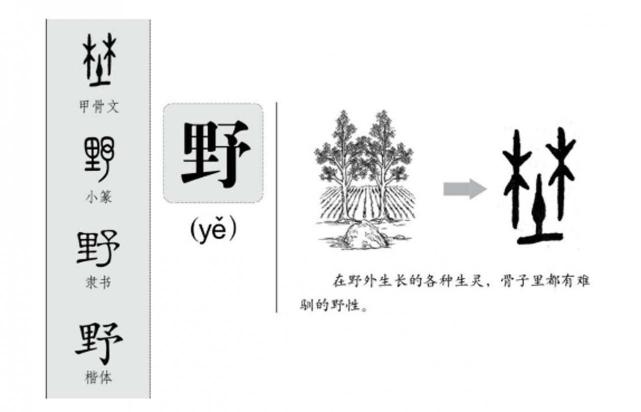 异体字和繁体字的区别