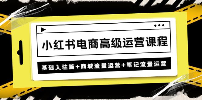 小红书电商高级运营课程：基础入驻篇+商城流量运营+笔记流量运营-猎天资源库