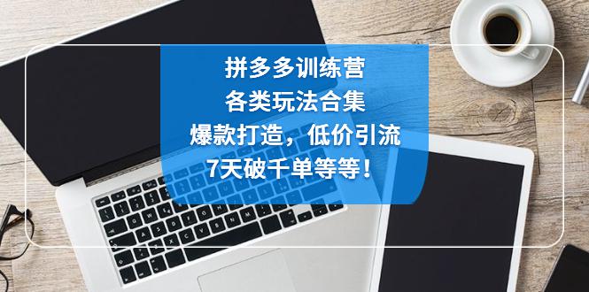 拼多多训练营：各玩法合集，爆款打造，低价引流，7天破千单等等！-猎天资源库