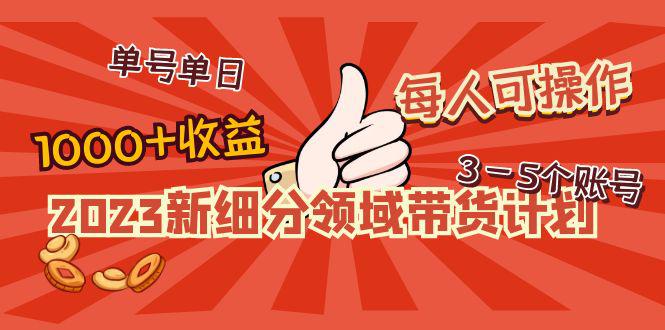 2023新细分领域带货计划：单号单日1000+收益不难，每人可操作3-5个账号-猎天资源库