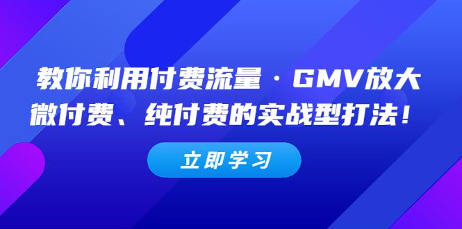 教你利用付费流量·GMV放大，微付费、纯付费的实战型打法！-猎天资源库