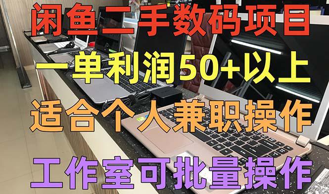 闲鱼二手数码项目，个人副业低保收入一单50+以上，工作室批量放大操作-猎天资源库