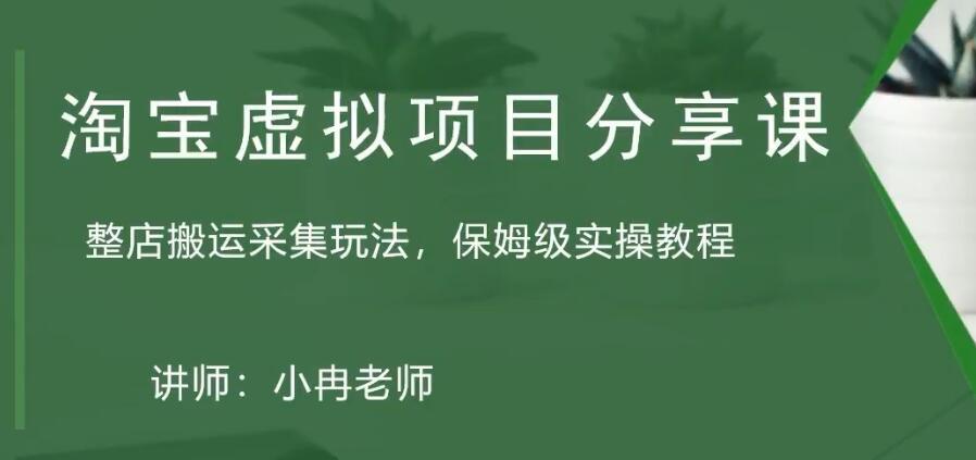 淘宝虚拟整店搬运采集玩法分享课：整店搬运采集玩法，保姆级实操教程-猎天资源库