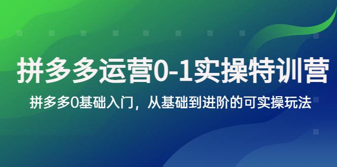 拼多多-运营0-1实操训练营，拼多多0基础入门，从基础到进阶的可实操玩法-猎天资源库