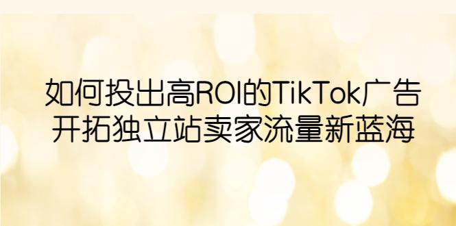 TikTok广告投放实战指南：开拓独立站卖家流量新蓝海，提升ROI-猎天资源库