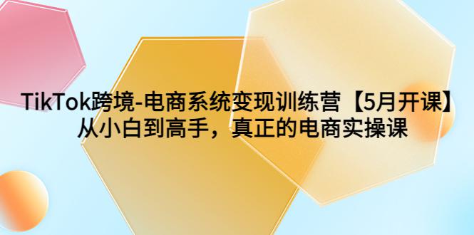 TikTok电商跨境变现实操课程，从小白到高手一步搭建自己的电商帝国-猎天资源库