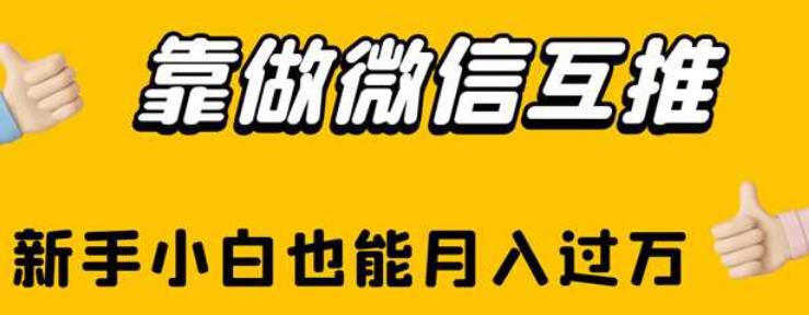 新手小白如何通过微信互推月入过万？【揭秘】-猎天资源库