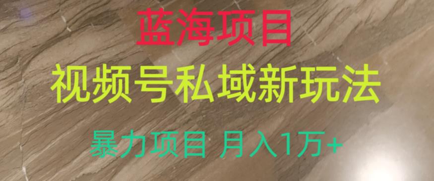 蓝海项目，视频号私域新玩法，暴力项目月入1万+-猎天资源库