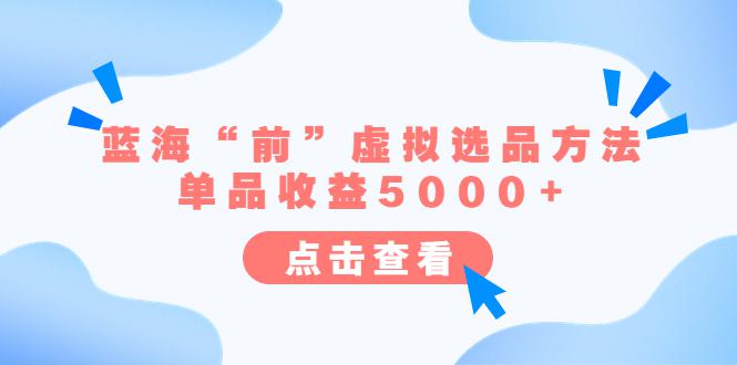 蓝海市场揭秘：蓝海“前”虚拟选品方法，单品收益5000！-猎天资源库