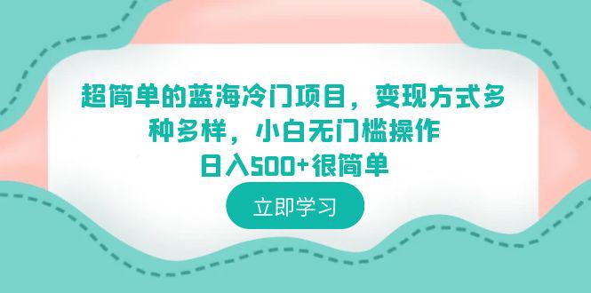 超简单蓝海冷门项目，小白0基础操作日入500+，多种变现方式助你轻松成功！-猎天资源库