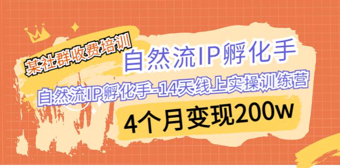 某社群收费培训：自然流IP 孵化手-14天线上实操训练营 4个月变现200w-猎天资源库