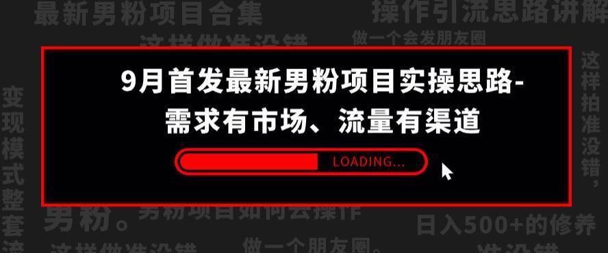 9月首发最新男粉项目实操思路-需求有市场，流量有渠道【揭秘】-猎天资源库