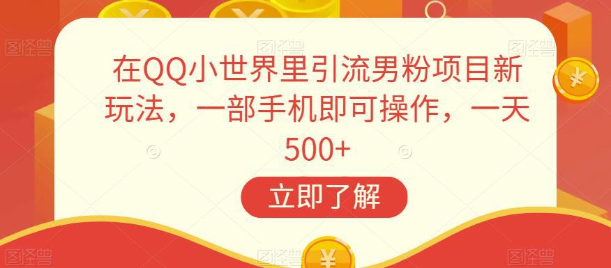 在QQ小世界里引流男粉项目新玩法，一部手机即可操作，一天500+【揭秘】-猎天资源库