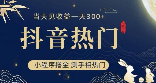 抖音最新小程序撸金，测手相上热门，当天见收益一小时变现300+【揭秘】-猎天资源库