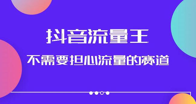 抖音流量王，不需要担心流量的赛道，美女图文音乐号升级玩法（附实操+养号流程）-猎天资源库