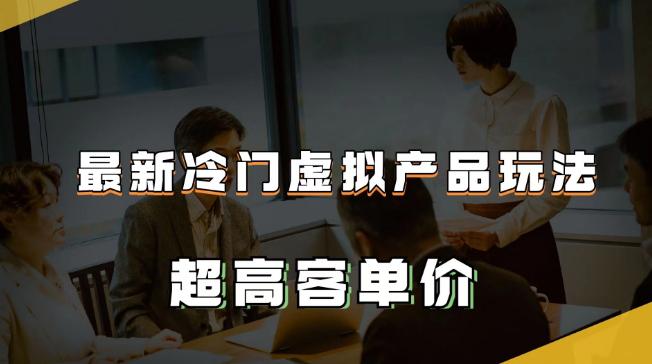 最新冷门虚拟产品玩法，月入2-3万＋，超高客单价让你收入翻倍-猎天资源库