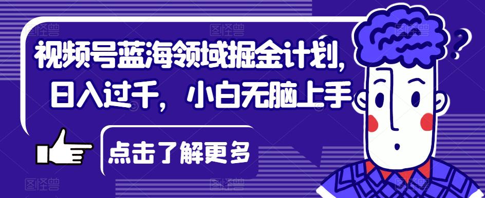 视频号蓝海领域掘金计划，小白轻松上手，日入过千！-猎天资源库