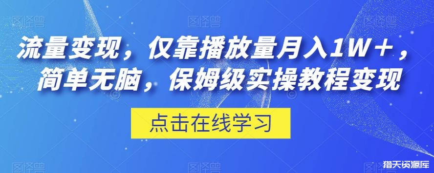 流量变现，仅靠播放量月入1W＋，简单无脑，保姆级实操教程【揭秘】-猎天资源库