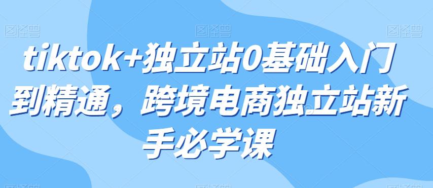 TIKTOK+独立站0基础入门到精通，跨境电商独立站新手必学课-猎天资源库