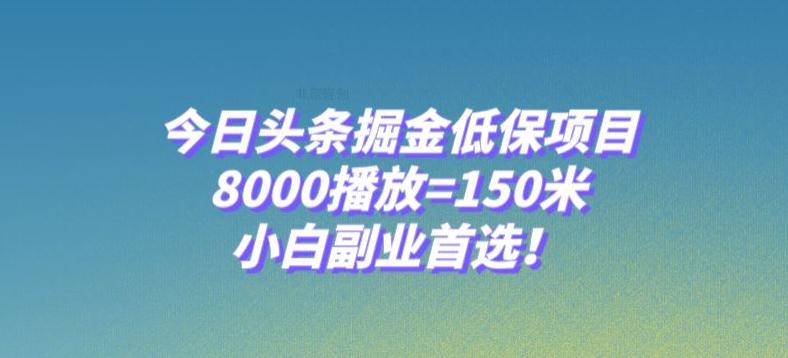 今日头条掘金低保项目，8000播放=150米，小白副业首选【揭秘】-猎天资源库