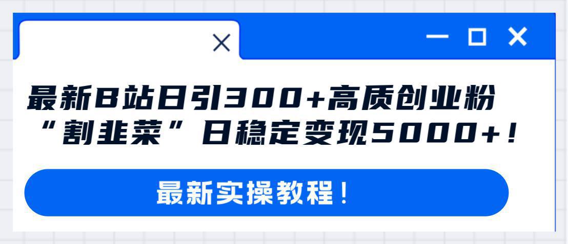 哔哩哔哩（B站）引流高质量创业粉教程：日引300+，“割韭菜”日稳定变现5000+！-猎天资源库