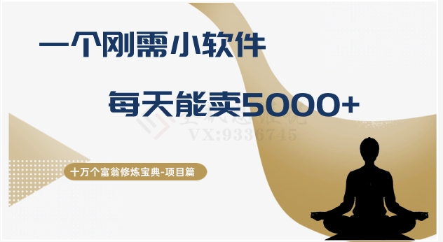 十万个富翁修炼宝典之17.一个刚需小软件，每天能卖5000+-猎天资源库