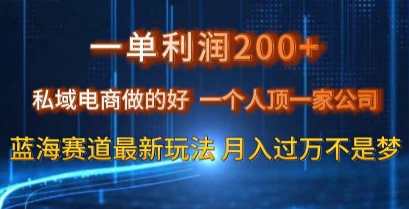 一单利润200私域电商做的好，一个人顶一家公司蓝海赛道最新玩法【揭秘】-猎天资源库