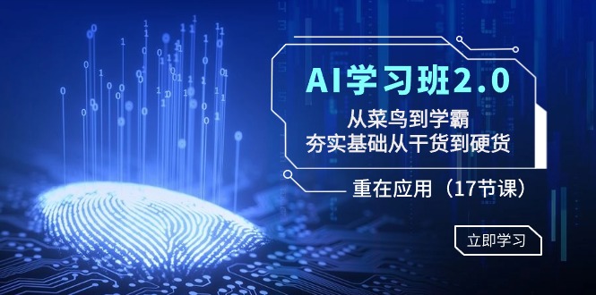 2024年AI学习班2.0：从菜鸟到学霸，夯实基础从干货到硬货，重在应用（17节课）-猎天资源库