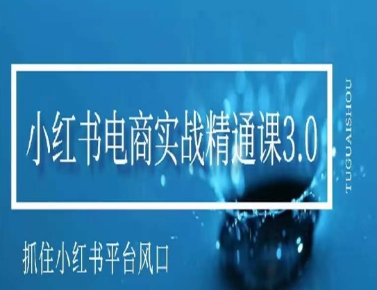 小红书电商实战课程，抓住小红书平台的风口，不错过有一个赚钱的机会-猎天资源库